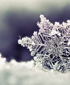 Registration Open for Winter Classes